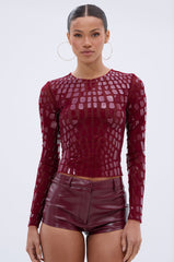 CAN SEE RIGHT THROUGH YOU MESH LONG SLEEVE TOP
